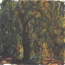 Trauerweide